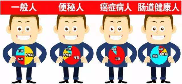 广州东大医院好不好！人有年龄，肠有肠龄，你的肠道几岁了