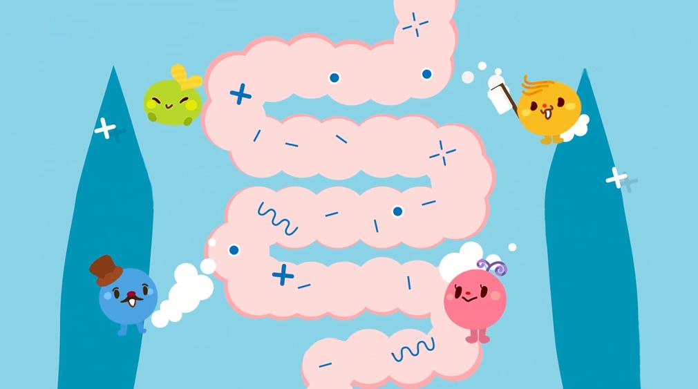 十二指肠憩室并发症状 广州东大医院正规吗