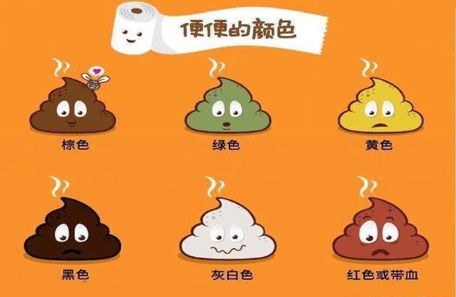 广州东大肛肠医院黑吗 如何从粪便中看出健康？