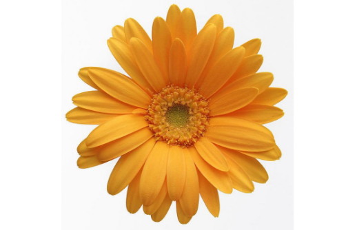 广州东大肛肠医院：最伤“菊花”行为你都做了哪些？