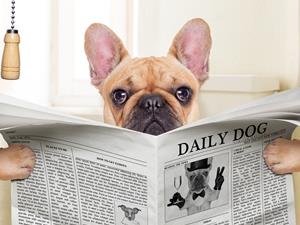 广州东大医院提示有“痔”青年轻度可用药重度需手术